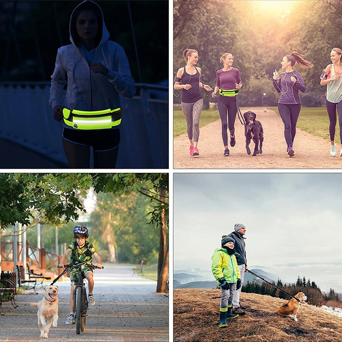 “Hands Free Dog Leash - Run with Your Dog in Safety and Comfort”