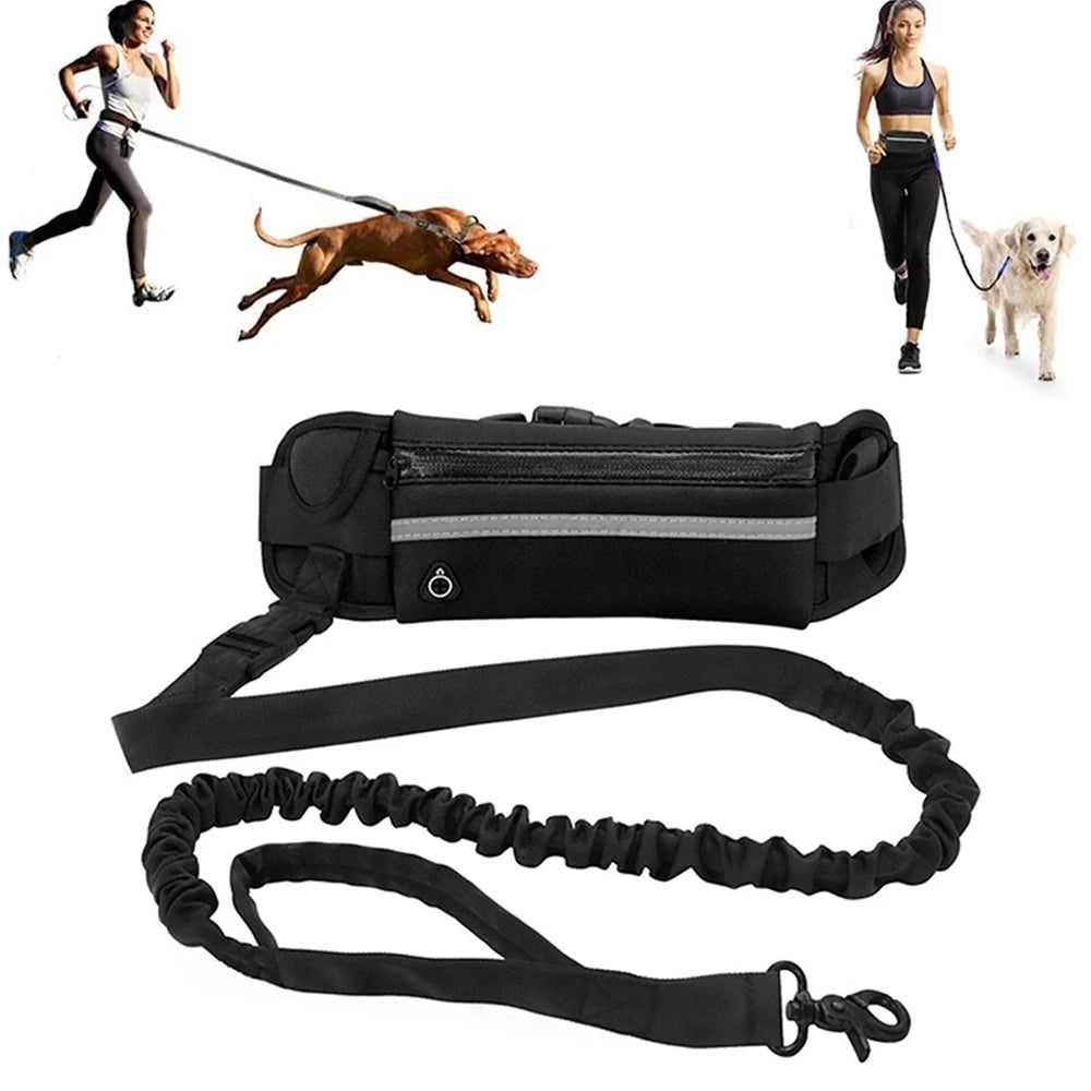 “Hands Free Dog Leash - Run with Your Dog in Safety and Comfort”