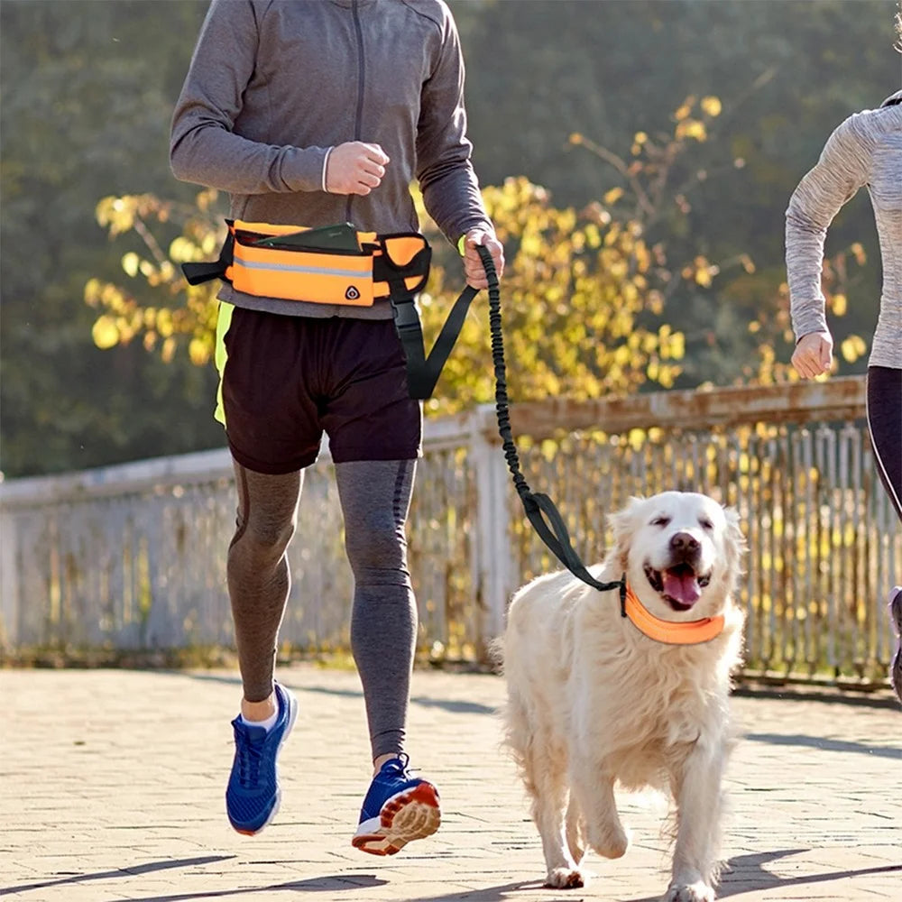 “Hands Free Dog Leash - Run with Your Dog in Safety and Comfort”