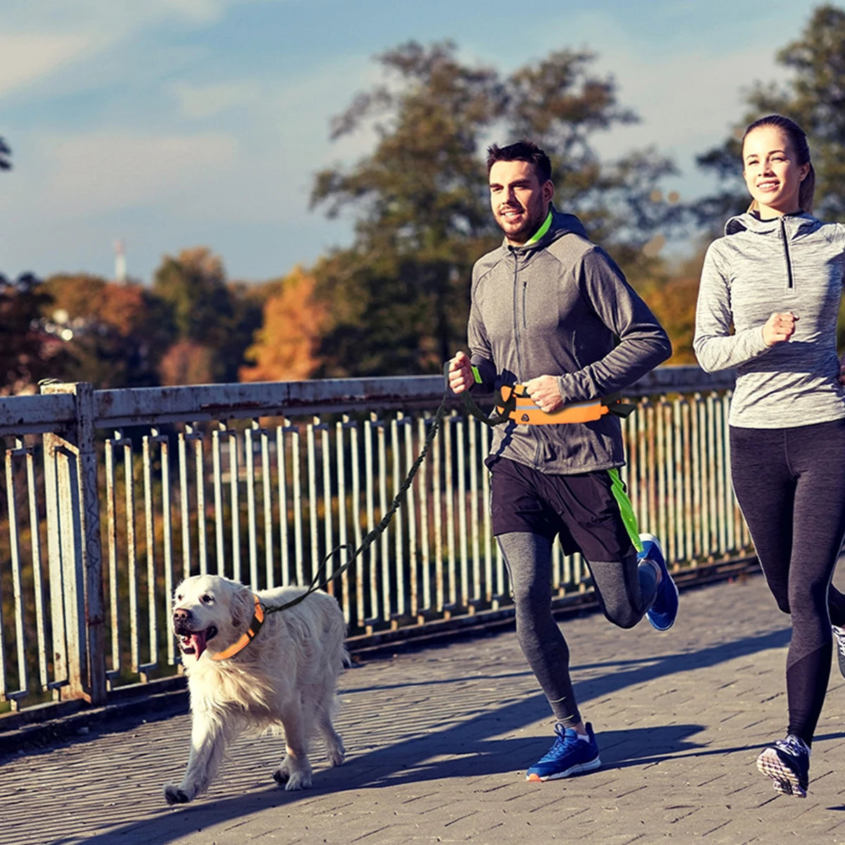 “Hands Free Dog Leash - Run with Your Dog in Safety and Comfort”